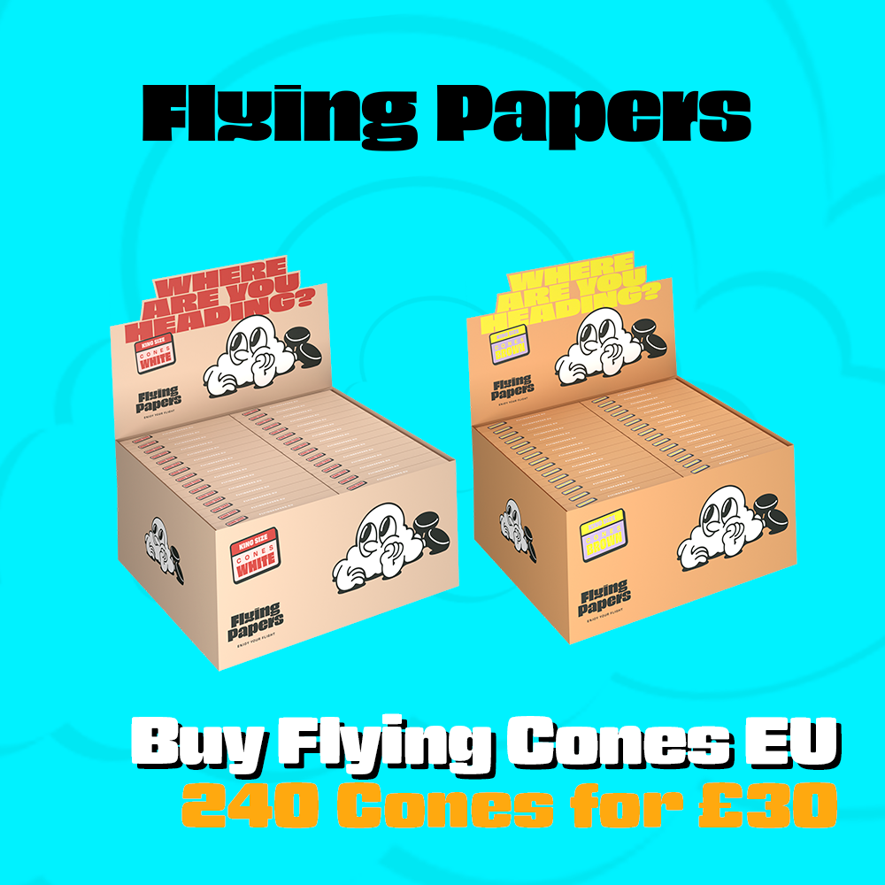 Flying Papers 240 King Size Cones