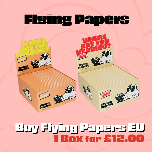 Flying Papers Box