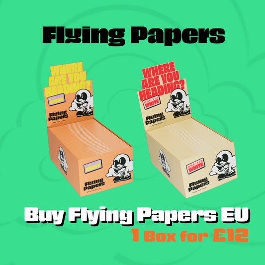 Flying Papers 1 1/4 50 Papers Box