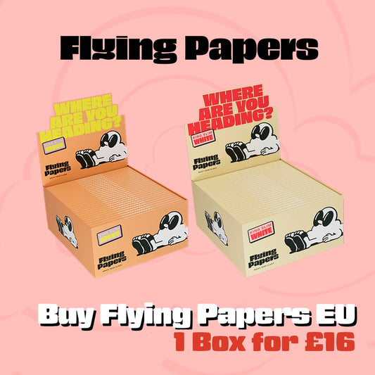 Flying Papers Box